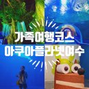 (주)리움 | 아쿠아플라넷 여수 할인 주차 정보 가족 여행코스 가볼만한곳