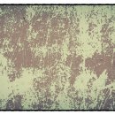 햇볕 세탁 이미지