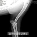 투투 동물병원 이미지