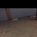 위례대로 이미지