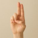 인천수화통역센터 | 수화자격증 / 수화통역사자격증 시험과목·합격률·취업까지