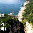 네일모노