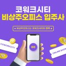 로만 컴퍼니