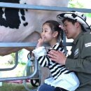 신선목장 이미지