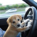 로맨스정자 | 속초여행후기🐟🦑🏖️25.08.30-31