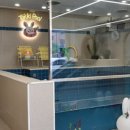 대전 키즈풀 토끼풀