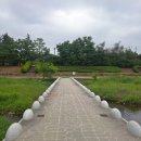 송정천체육공원 티스토리