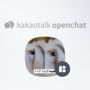 도도한 속눈썹 - 광진구 | 도도한 속눈썹