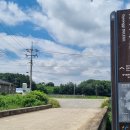 도리1리 이미지