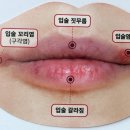 세일약국 이미지