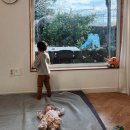 귤익는 마을 | 돌잔치 말고, 돌 기념 한달살기 — 아빠 육아휴직이 끝나기 전 제주에서 보내는 한 달