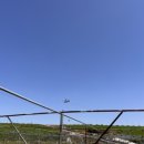 용은농장 이미지