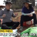 대농밭 네이버블로그
