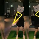 풀스윙골프클럽 이미지