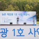 미원 태양광발전소 이미지