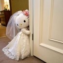 용학로 | 웨딩홀💒 결정하기 : 대구 당일치기 (라포레수성/인터불고엑스코/륜/엘파소)