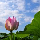 김포시 노인복지회관 이미지