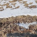 산청금서관광지 | 양평 파크골프장 1홀부터 모든 코스 둘러보기