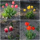 논산 부창동 성당 이미지