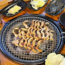 영산강장어 이미지