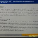 지푸재 이미지