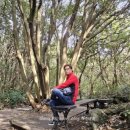 대평 목장 이미지