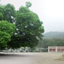 소호분교초등학교 이미지