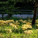 대웅부분정비 이미지