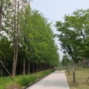 경의선숲길 이미지