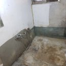 광치마을 이미지