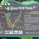 봉화청옥산명품숲길단풍산행 이미지