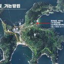 백금포의 하루 이미지