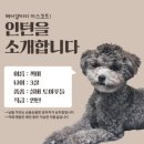 까미헤어갤러리
