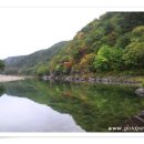 강변통나무펜션 이미지