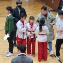 서구-28 | 2023 제28회 서구 협회장기 태권도 품새 대회 참가 후기