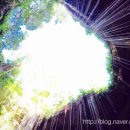 영지호스텔 이미지