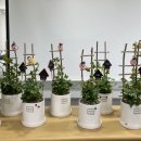 귤현동 경로당 이미지