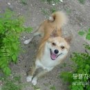 구름이 이미지