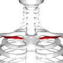 하트핏 휘트니스 이미지