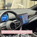타이어사자 | [중국산 전기차 BYD 안성 전시장 방문후기] 돌핀, 씨라이언7, 씰 BYD 전기차 내부 외부 비교