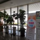 석문생각나무작은도서관 이미지