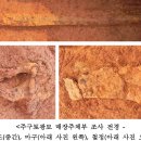 고덕국제화계획지구 이미지