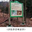 산림욕장 이미지