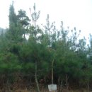 백송농장 이미지