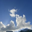 군산예술의전당(소공연장) | 군산문화관광재단 문화리뷰어즈 미디어아트 속 애니몰 <생상스 동물의 사육제>