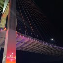 하화낭만 이미지