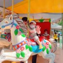 수성랜드 이미지