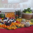 풍성한 은혜농장 이미지