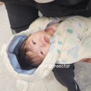 웰키즈아동병원 | 6개월 아기 열 감기 수액 해열제, 대구 웰키즈아동병원 율하연합소아청소년과의원