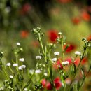 마동 공원 이미지